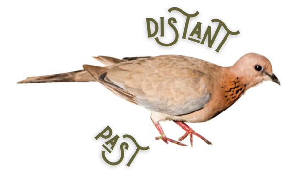 a tan pigeon with text surrounding it that reads the words distant past